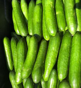 Abundant Backyard Organic Cucumber